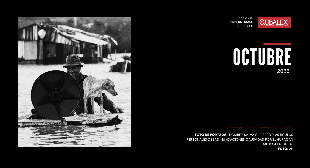 Informe Mensual sobre la Situación de los Derechos Humanos en Cuba ...